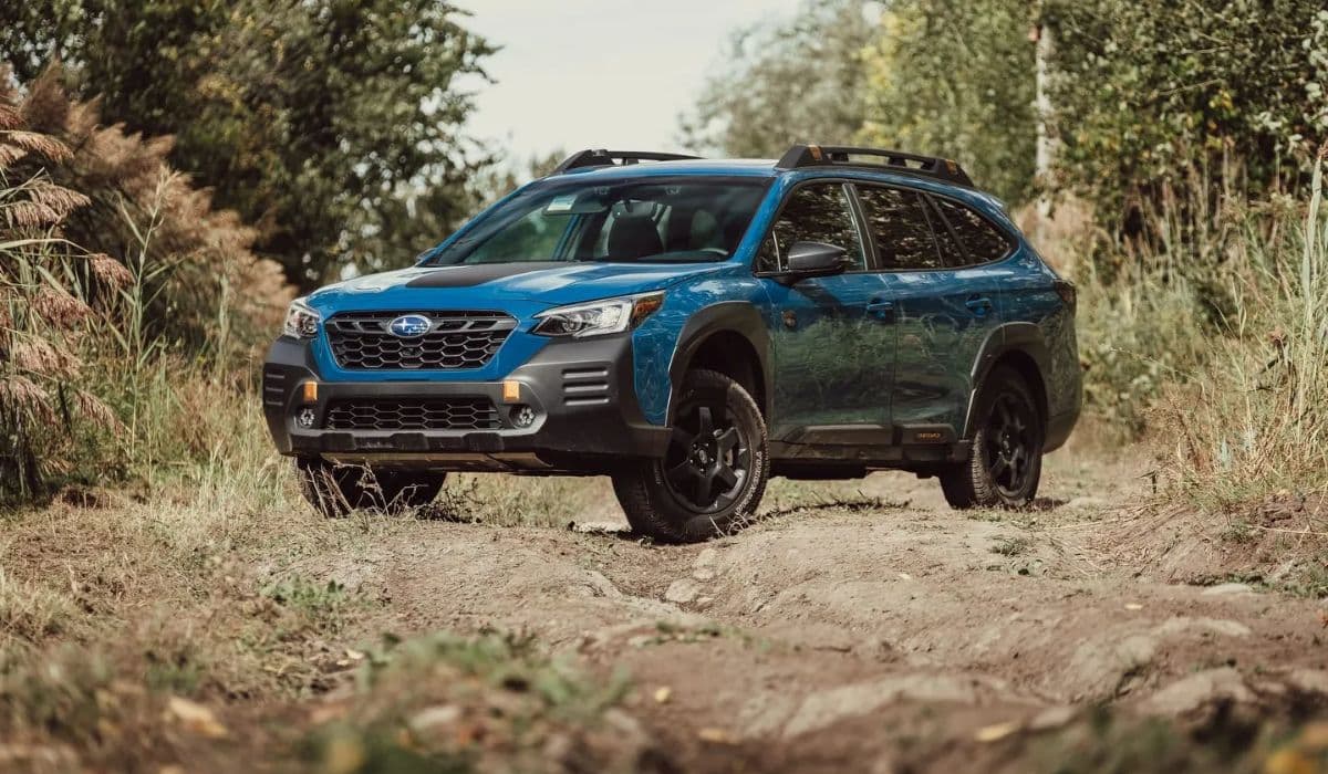 Subaru adventure capability and dog-friendly design loved